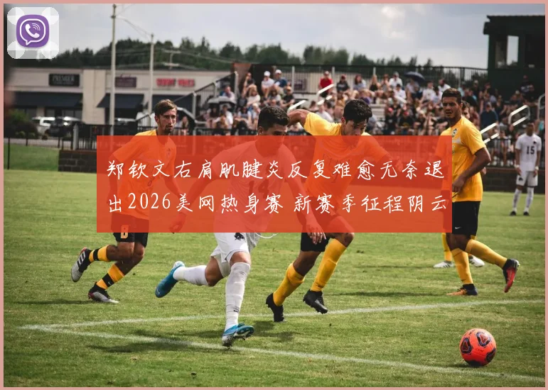 郑钦文右肩肌腱炎反复难愈无奈退出2026美网热身赛 新赛季征程阴云笼罩