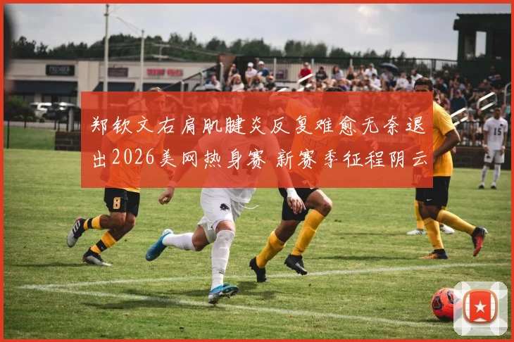 郑钦文右肩肌腱炎反复难愈无奈退出2026美网热身赛 新赛季征程阴云笼罩